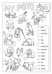 English Worksheet: Pets Pictionary