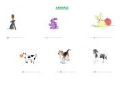 English Worksheet: animals