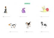 English worksheet: animals