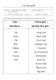 English Worksheet: Is or Have Got?