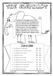 English Worksheet: The elephant - part 1/2 - 3 WS + key