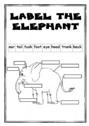 English Worksheet: The elephant - part 2/2 - 2 WS + key