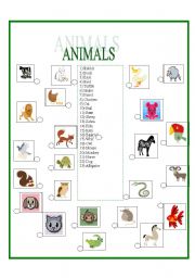 Animals