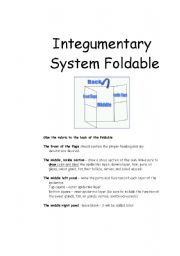 Download English worksheets: Integumentary System Foldable