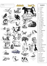 English Worksheet: animals   (part 2)