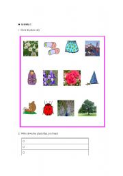 English Worksheet: plants