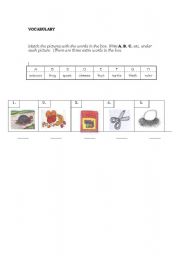 English worksheet: vocabulary