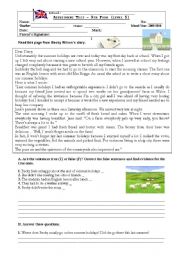 English Worksheet: Holidays Diary test