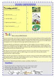 English Worksheet: Reading comprehension 