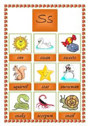 picture dictionary letter s ( 2 pages)