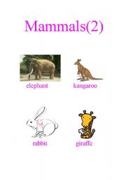 English worksheet: Mammals (2)