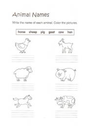 Animal names writing practice