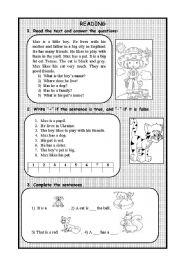 English Worksheet: Reading test for elementary p-s