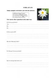 English worksheet: Some/any/no    