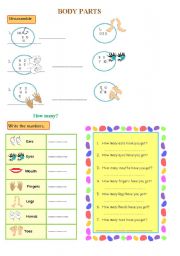 English worksheet: body parts