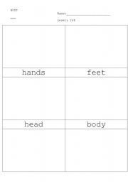 English worksheet: body