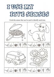 English Worksheet: I use my FIVE SENSES