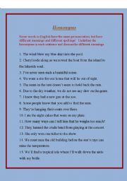 English Worksheet: English Homonyms