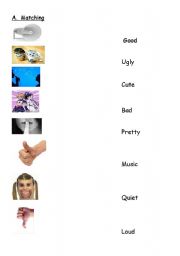 English Worksheet: The Five Senses & Individual Preferences