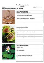 English worksheet: plants livin and surviving-2