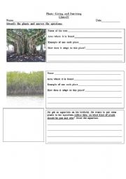 English worksheet: plants living and surviving-1