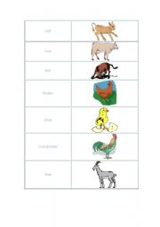 English worksheet: animals