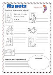 English Worksheet: My pets!