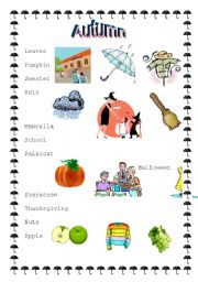 English Worksheet: Autumn