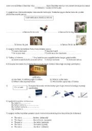 English Worksheet: exam for the 5th grade