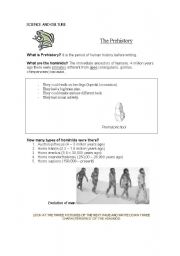 English Worksheet: The Prehistory ( 1/2 )