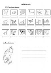 English Worksheet: QUIZ ON ANIMALS