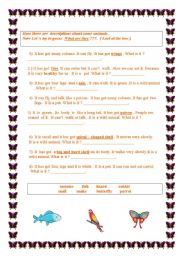 English Worksheet: pets and wild animals