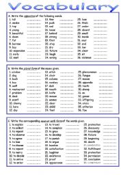 English Worksheet: Vocabulary Review