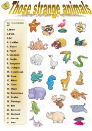 English Worksheet: THOSE STRANGE ANIMALS