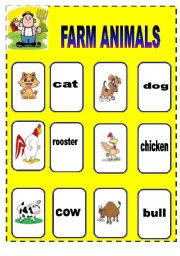 FARM ANIMALS