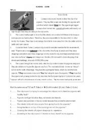 English Worksheet: ROBOT BIRDS