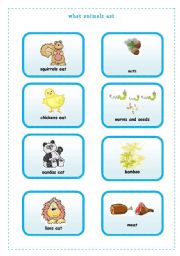 English Worksheet: WHAT ANIMALS EAT  2/4