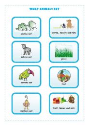 English Worksheet: WHAT ANIMALS EAT  3/4