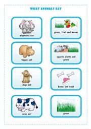 English Worksheet: WHAT ANIMALS EAT  4/4