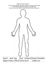 35 Blank Human Body Diagram To Label - Labels Information List
