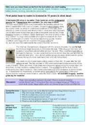 English Worksheet: Polar Bear shot dead after swimming 200 miles!