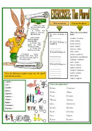 English Worksheet: EXERCISES: The Plural