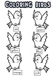 English Worksheet: coloring birds