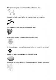 English worksheet: ANIMAL IDIOMS