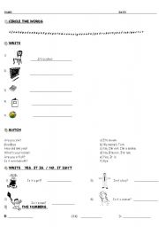 English Worksheet: questions verb to be, everyday languaje, numbers, animals, school objects