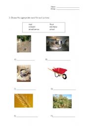English Worksheet: The Little Red Hen - Vocabulary activity p.2/2