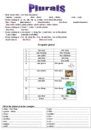 English Worksheet: Plurals