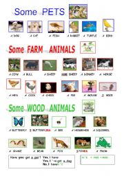 English Worksheet: ANIMALS  PICTIONARY