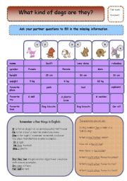 English Worksheet: dog description part 1