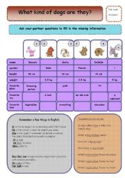 English Worksheet: dog description
